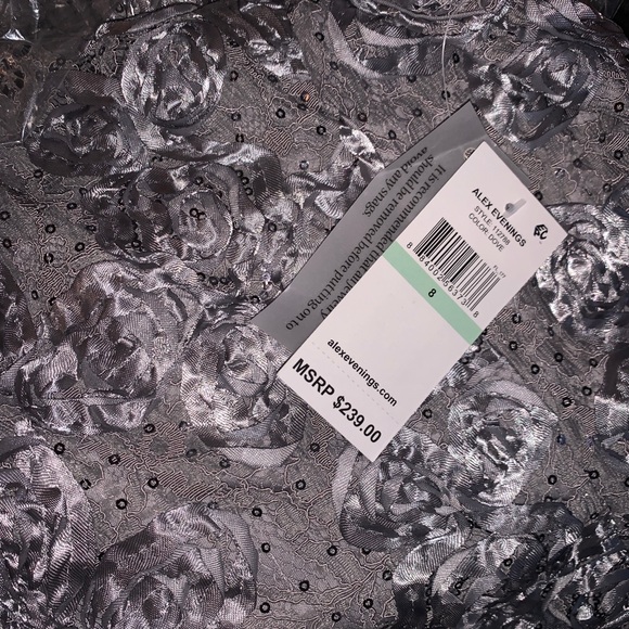 Elegant 💍  Alex Evenings Embellished Lace Silver Gown - Picture 7 of 8